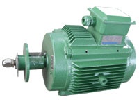 YLF2冷卻塔專(zhuān)用電動(dòng)機(jī)